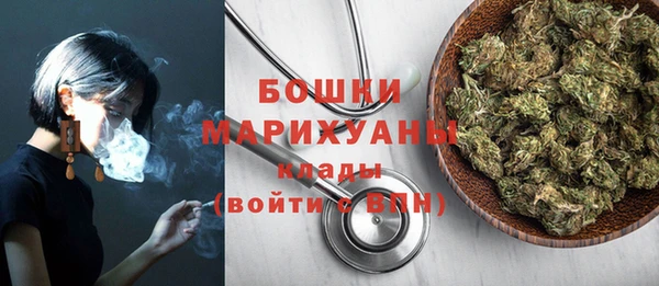 СК Сафоново