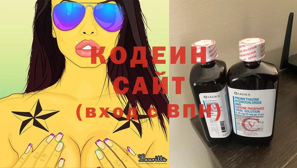 2c-b Пестово