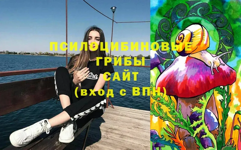 shop формула  Чусовой  Галлюциногенные грибы MAGIC MUSHROOMS 