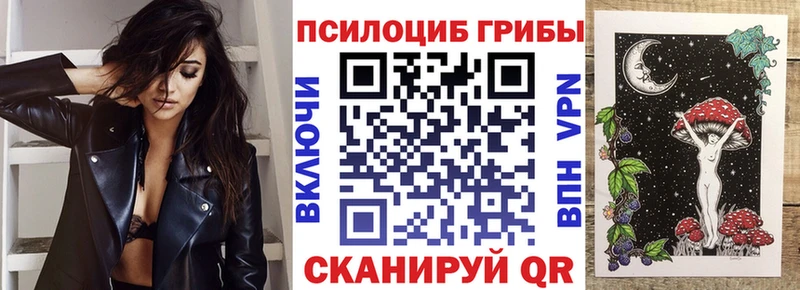 дарк нет какой сайт  наркотики  Чусовой  Псилоцибиновые грибы Psilocybine cubensis  hydra вход 